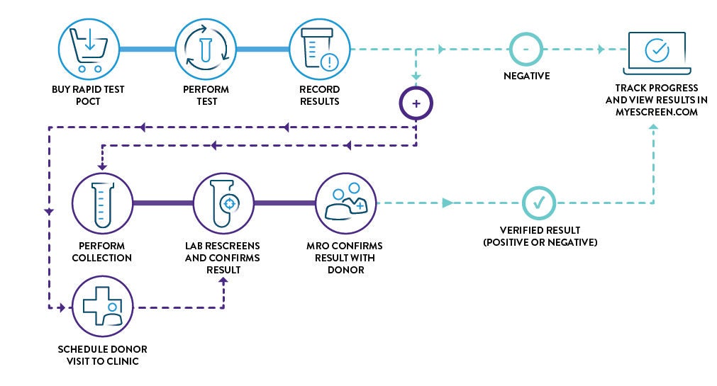 Drug Testing Process Flowchart Employer Collect Digitized Rapid Drug Testing | Abbott Toxicology