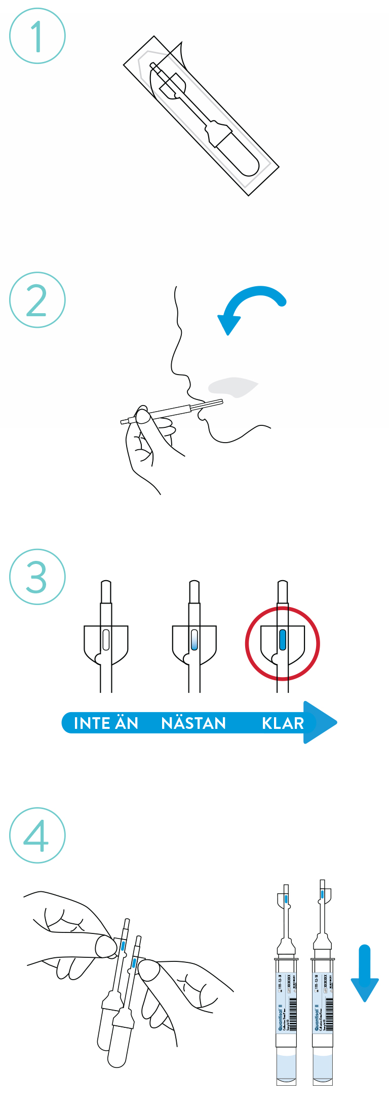 infographic