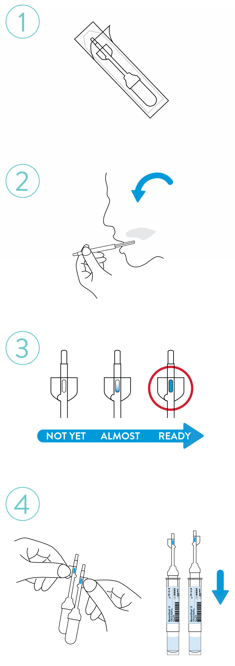 infographic