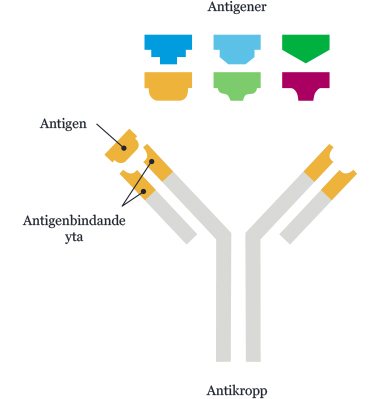 Testing explained 1