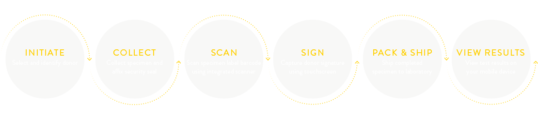 infographic