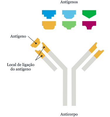 Testing explained 1